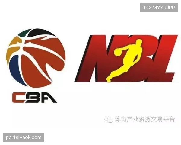 体育数字资产价值评估体系多元化，反映综合效益