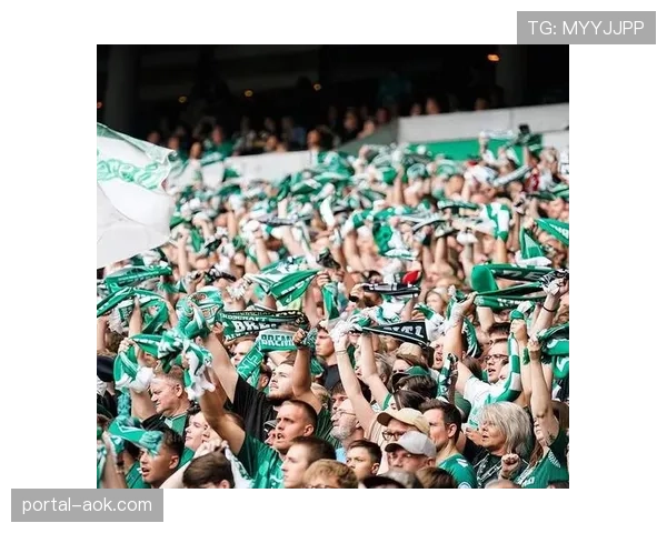 德甲球衣销量破纪录，汉堡9万件售罄显球迷市场潜力